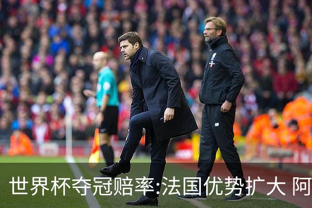 世界杯夺冠赔率:法国优势扩大 阿根廷西班牙紧追