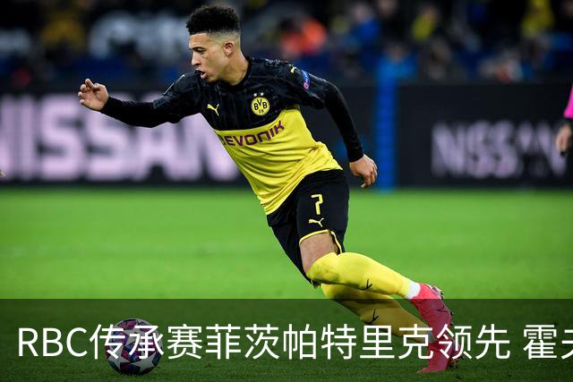 RBC传承赛菲茨帕特里克领先 霍夫兰列第二舍夫勒T14